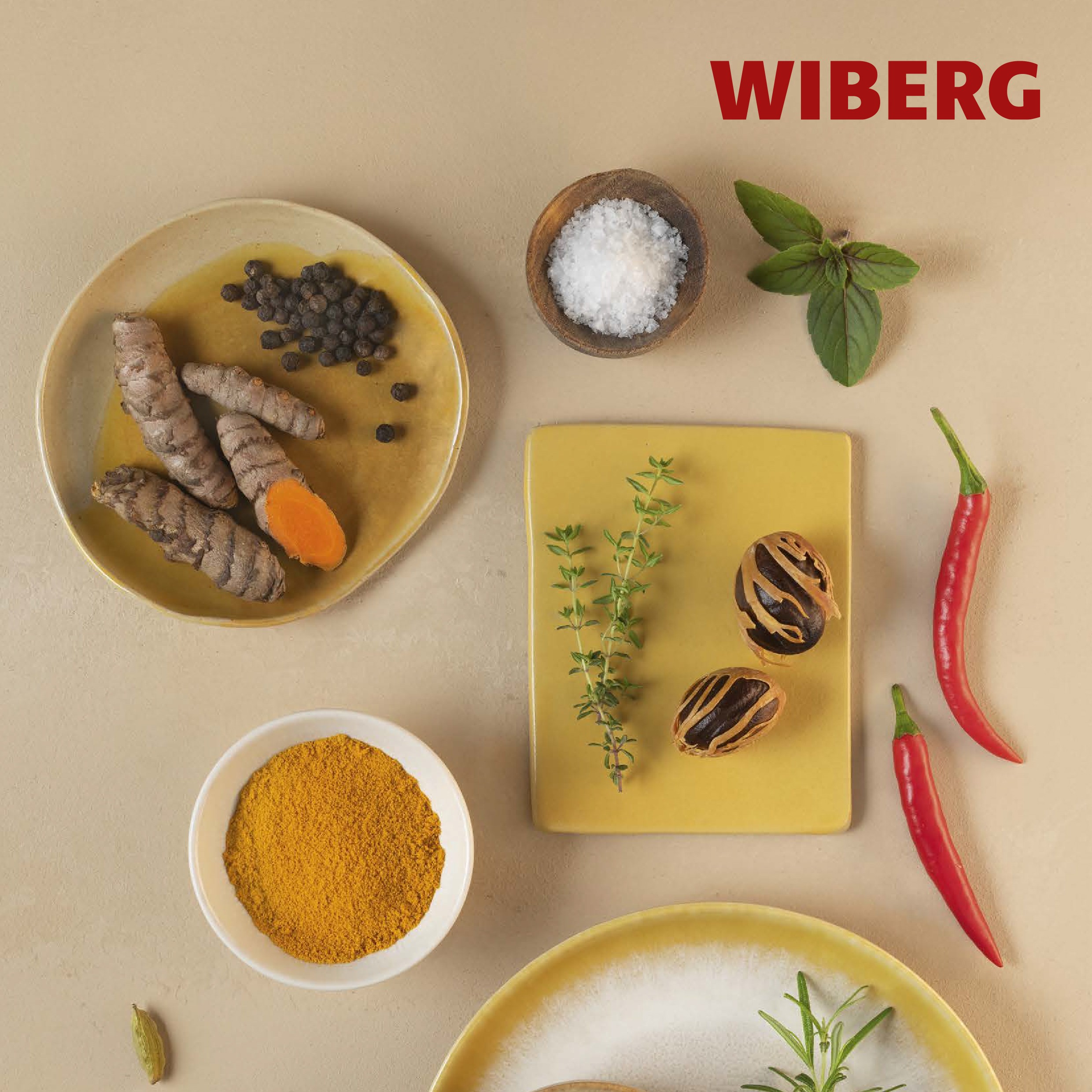 Catalogo Wiberg - Horeca 2025